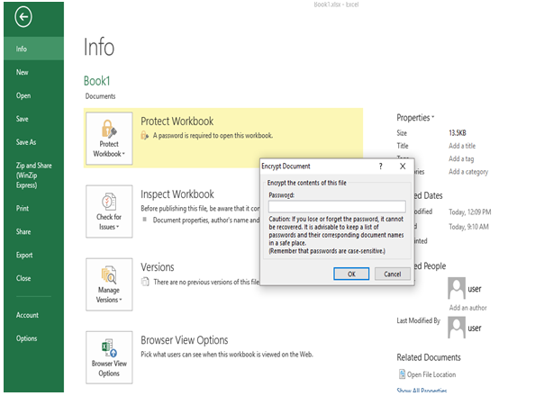 crack excel password using info